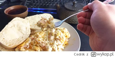 Cedrik - Jajownica do oceny (｡◕‿‿◕｡)

#gotujzwykopem #sniadanie