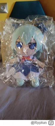 Ryptun - O co mam
#fumo #cirno #touhou