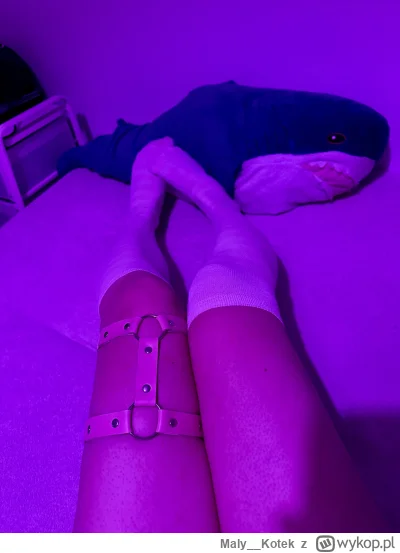 Maly__Kotek - Femboy friday z Blahajem Włodzimierzem bo z nim najlepiej
#femboy #tecz...