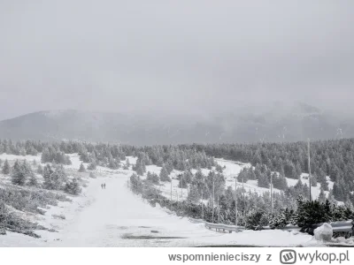 wspomnienieciszy - Posypało i zawiało. #zima po prostu. -9 na liczniku, odczuwalnie x...