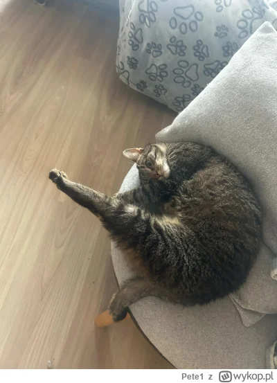 Pete1 - Jak tak można żyć? W nocy nie mogłem spać, a ona cały czas obok mnie spała. O...