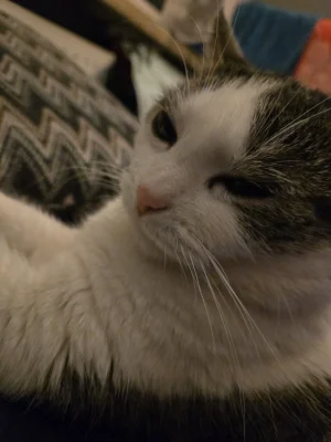 Solsith - @dongio: weekend był cięszki ( ͡° ͜ʖ ͡°)