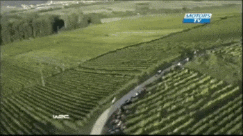 wfyokyga - K---a moje pole