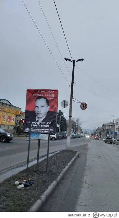 neurotiCat - Dla kontekstu dodam, że autorka tego "tłita" jest rodowitą Lwowianką. Ob...