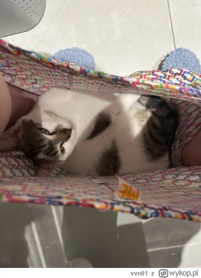 vvn81 - nawet jak sram to mi@towarzyszy