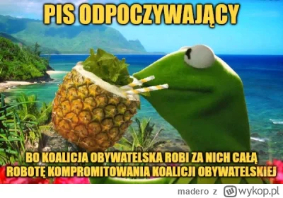 madero - XD nic nie trzeba robić #tusk wije się jak piskorz, Panie żyjemy w kraju abs...