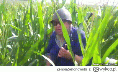 ZenonZenonowski - @ZenonZenonowski: