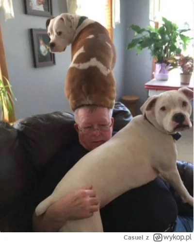 Casuel - @Mochizuki: