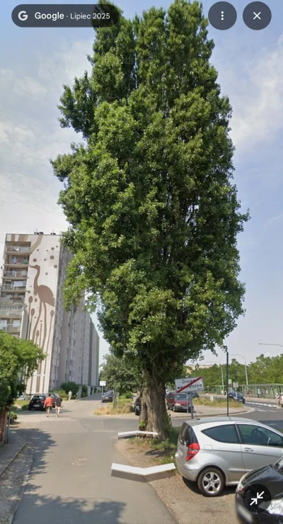 baltonoski - @baltonoski: A tak to wyglądało jeszcze w lipcu br.