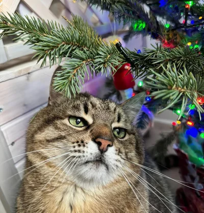 vateras131 - MAKE STEPAN CODZIENNY AGAIN
#codziennystepan