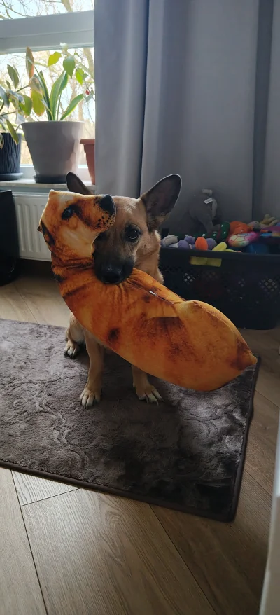 xBURNx - Kupiłem poduszke dla różowej zamawiając kilka pierdół z Ali. Teraz muszę wyt...