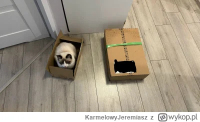 KarmelowyJeremiasz - Łajza 

#koty