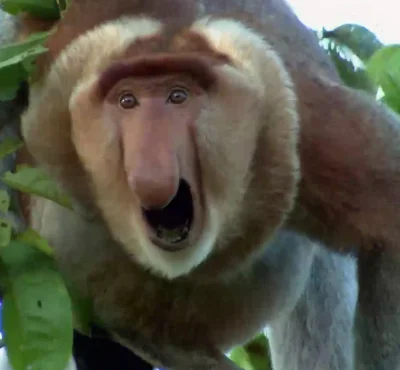 Moczymorda77 - @Hexenbrenner: