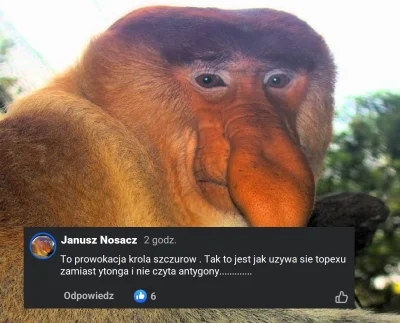 yourgrandma - #konkursnanajbardziejgownianymemznosaczem #polskieonuce