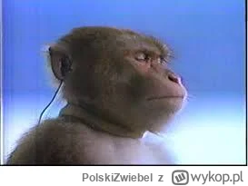 PolskiZwiebel - @Dobreshotyyy: