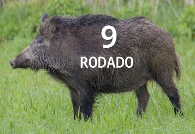 CynicznyDlugouch - #wislakrakow