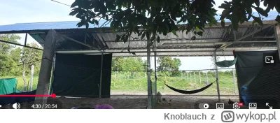 Knoblauch - #raportzpanstwasrodka 
To Spocony mieszka na tym hamaku? Brat Siny miał p...