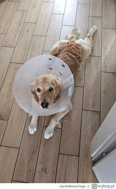 JarekNoooTego - @ryhu za mala satelite masz, wieksza musisz ( ͡º ͜ʖ͡º)