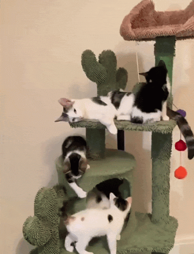 jestemtakizmeczony - @jestemtakizmeczony: