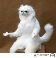 marekrz - czy Trzaskowski powiedział, że gdyby aborcja była kiedyś legalna to miałby ...