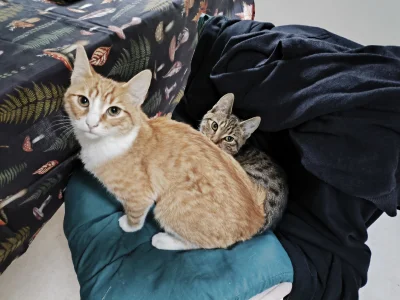 kiedystubylamaleucieklam - @simpiara