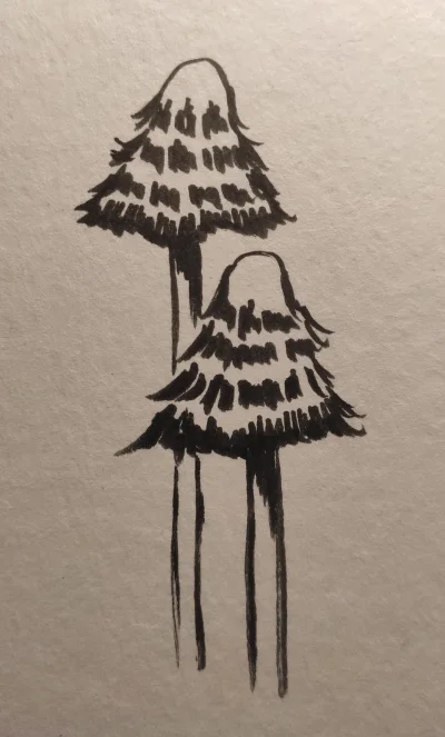 tabula_okrasa - 15. Ragged
#inktober #rysujzwykopem