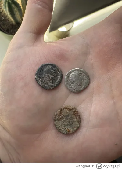 wanghoi - Kto po polu chodzi to zawsze coś znajdzie #monety #numizmatyka
