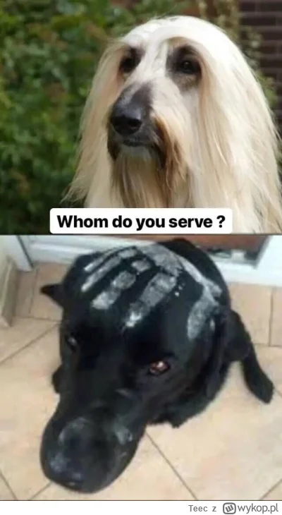 Teec - #wladcapierscieni