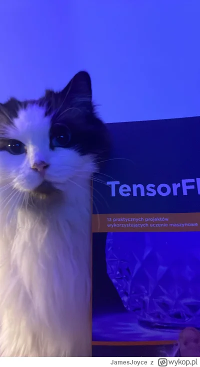 JamesJoyce - #koty #pokazkota #sztucznainteligencja

TensorCat