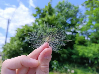 PorzeczkowySok - bardzo śmiesznie wstawać rano, kiedy spać byś chciał i z twarzyczką ...