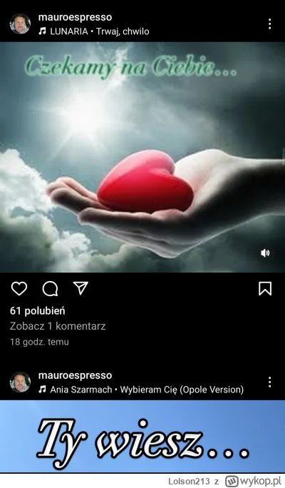 Lolson213 - Boczuś podsycacz emocji ( ͡° ͜ʖ ͡°)
#slubodpierwszegowejrzenia