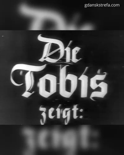 zrzed - #polska pierwszą gospodarką - filmik propagandowy jak dzisiejsze rolki o #dan...