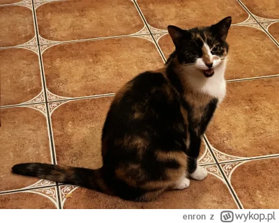 enron - a tu moja hunckota