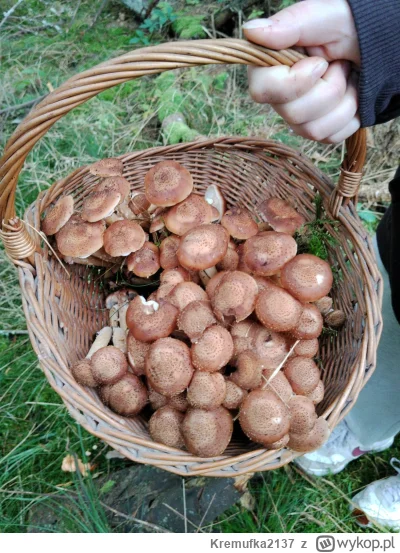 Kremufka2137 - Pytacie jak wygląda szczęście? Otóż szczęście wygląda tak:

SPOILER

S...