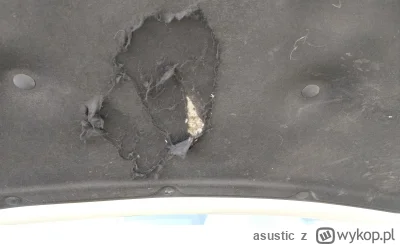 asustic - @gorzki99 deszcz spadnie i po ptakach,muszę czymś pod maską spryskać