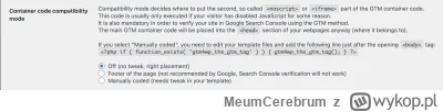 MeumCerebrum - O co chodzi... Chcę zainstalować GTM do strony na WP za pomocą wtyczki...