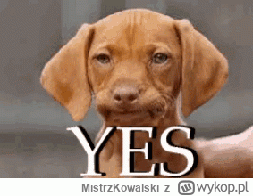 MistrzKowalski - @ROTTE_N: