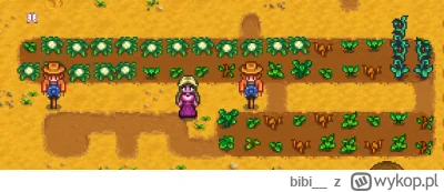 bibi__ - @Arbeiter: bida jest XD