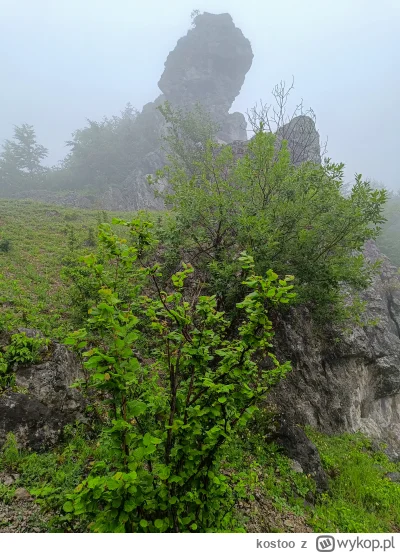 kostoo - Klimatyczne Belianske Skaly z elementami lufy ( ͡° ͜ʖ ͡°)

#gory #malafatra