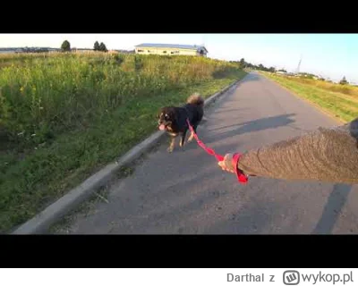 D.....l - @bolidupsko: https://www.youtube.com/watch?v=9Y17w22fEpk&t=217s&ab_channel=...