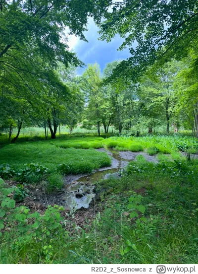 R2D2zSosnowca - @R2D2zSosnowca 6