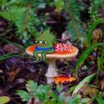 wfyokyga - Dzień dobry