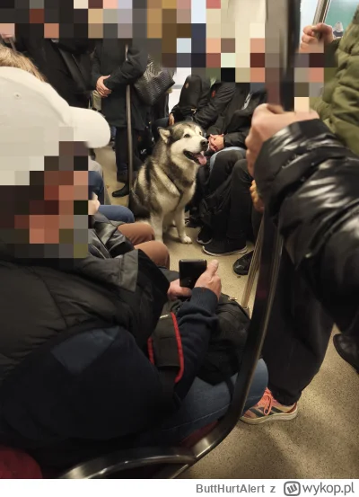 ButtHurtAlert - Godzina 16 godziny szczytu wsiadam se w centrum wawy do metra a tu se...