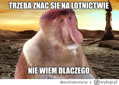 MamDobreGeny - #airshow f16 #radom