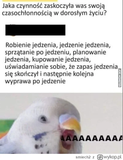 smiech2 - >No, to jak z gotowaniem obiadu. Najgorsze jest to wymyślanie

@jedennadzie...