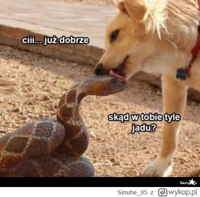 Sinuhe_95 - @AlienFromWenus: