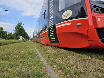 d.....a - #tramwaj #tramwaje #tramwajeslaskie #komunikacjamiejska #ztm #metropoliaztm...