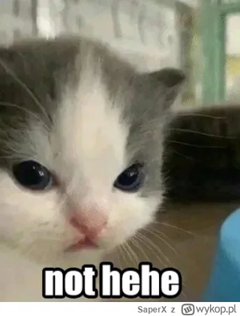 SaperX - @mojwykopowylogin: