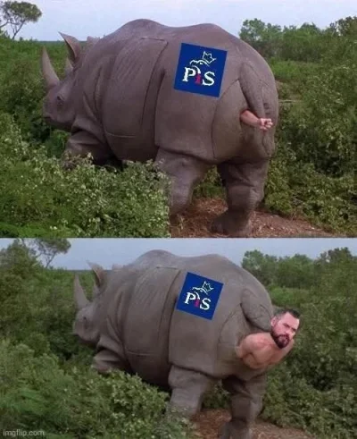 p.....a - #polityka xD