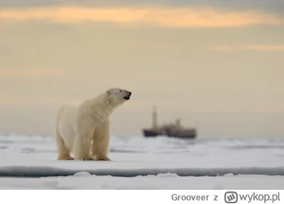 Grooveer - Nowym celem Rosji może być norweski archipelag. Rosja może chcieć przetest...